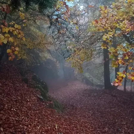 Apartament Golden Mountain, Nature House Manteigas