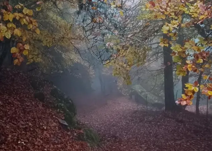 Appartement Golden Mountain, Nature House Manteigas